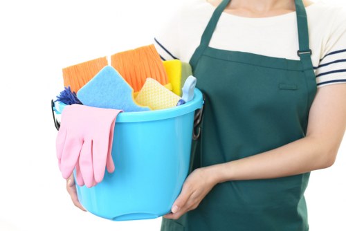 Deep cleaning service for a Kensington home with detailed kitchen and living area care