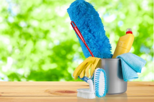 Regular cleaning service in a Kensington home interior
