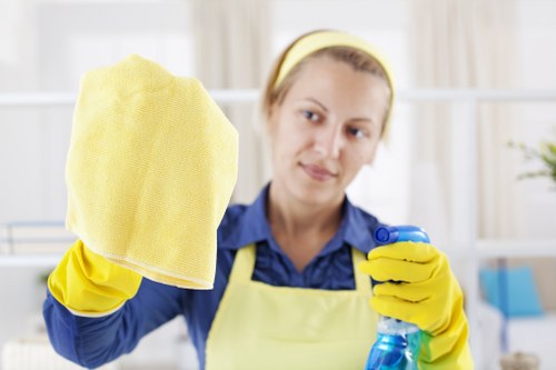 Professional stain removal assessment for a Kensington home carpet