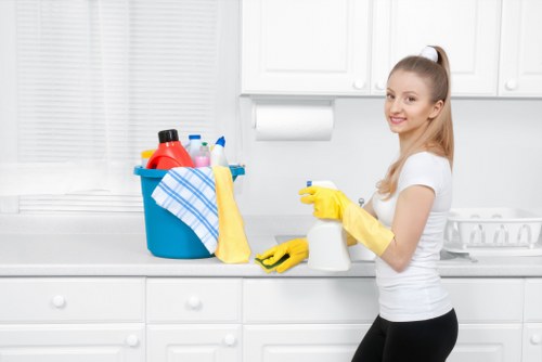 Deep cleaning of a built-in oven in Kensington