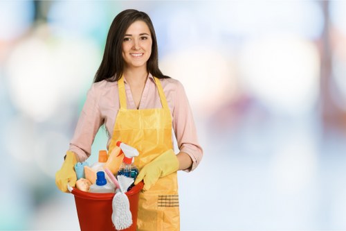Local window cleaning service for Kensington apartments and townhouses