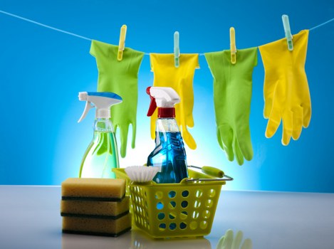 Deep cleaning equipment used for pet stain odour removal