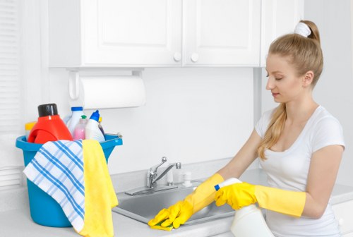 Detailed cleaning of cupboards and surfaces before moving in